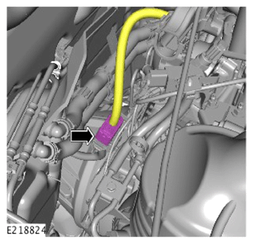 G14281517