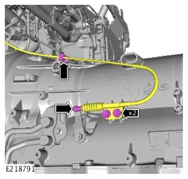 G14281528