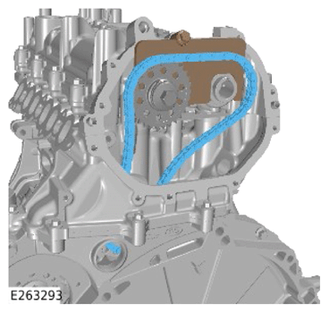 G14281584