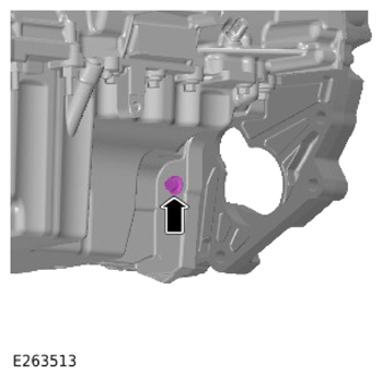 G14281596
