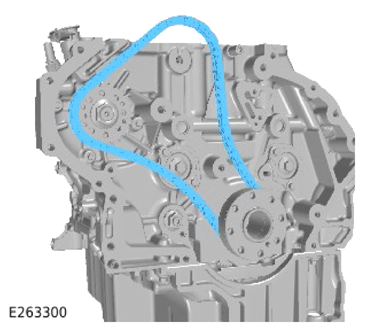 G14281605