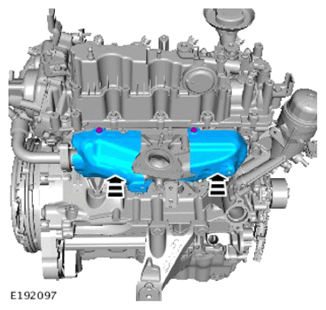G14281752