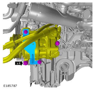 G14283294