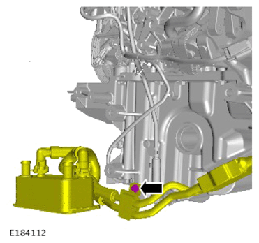G14283295