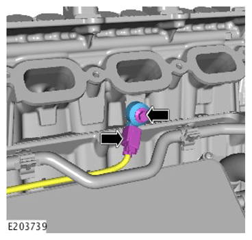 G14283895