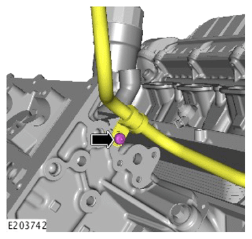 G14283899