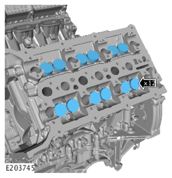 G14283901