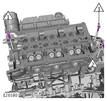 G14283909