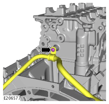 G14283919
