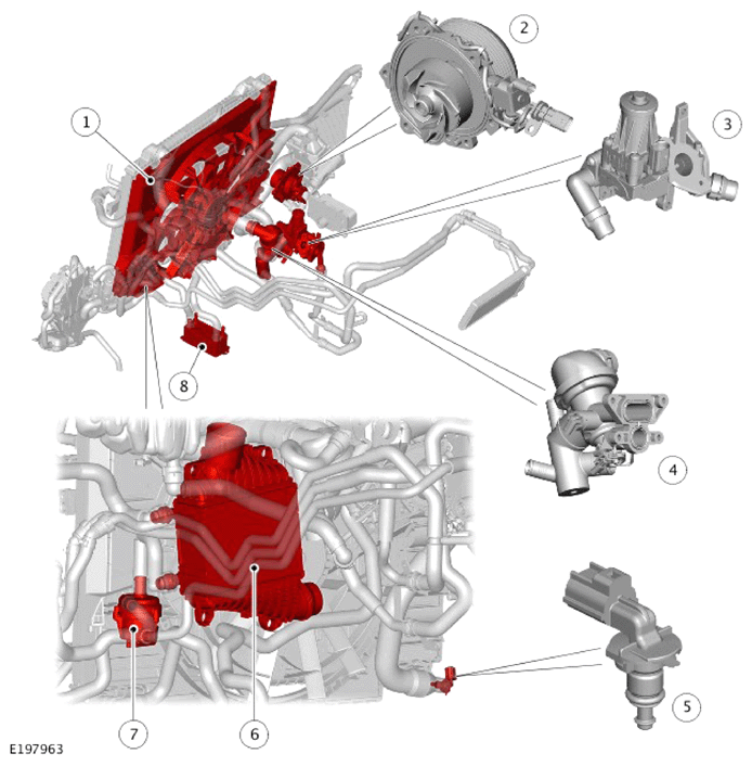 G14285768