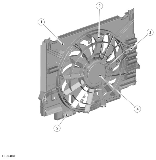 G14285965