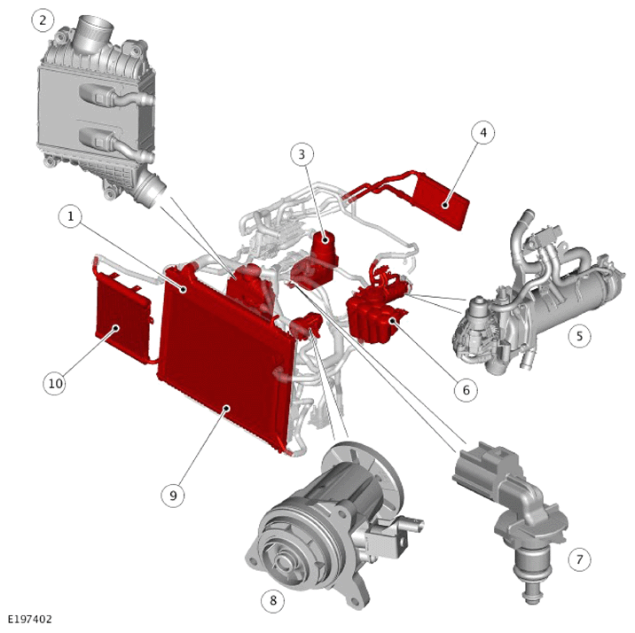 G14286151