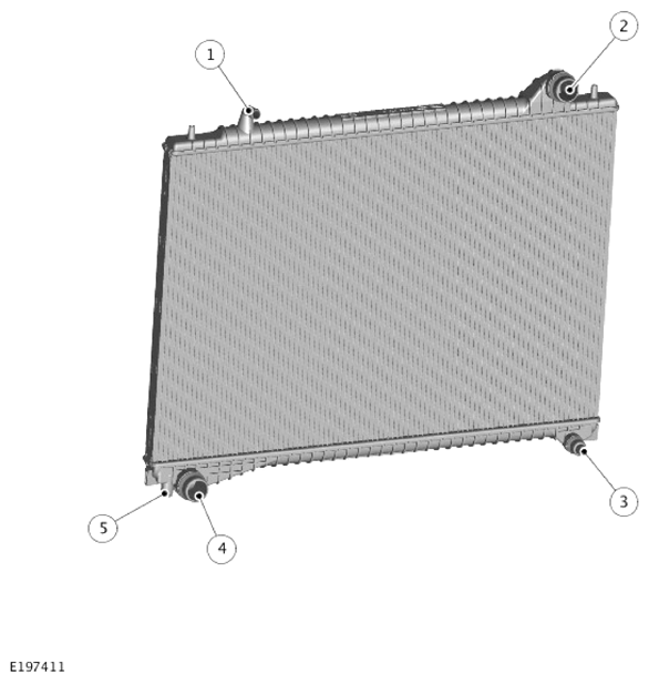 G14286154