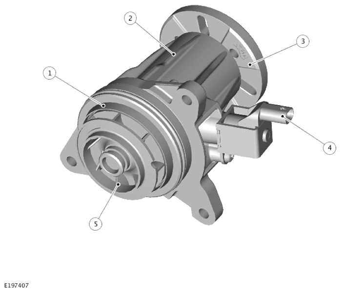 G14286155