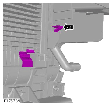 G14286233
