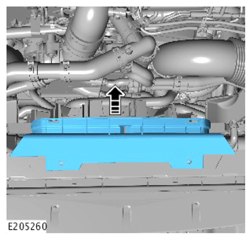 G14286249