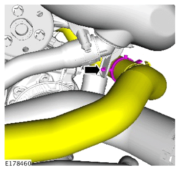 G14286279