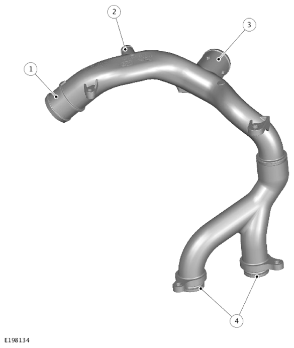 G14286326