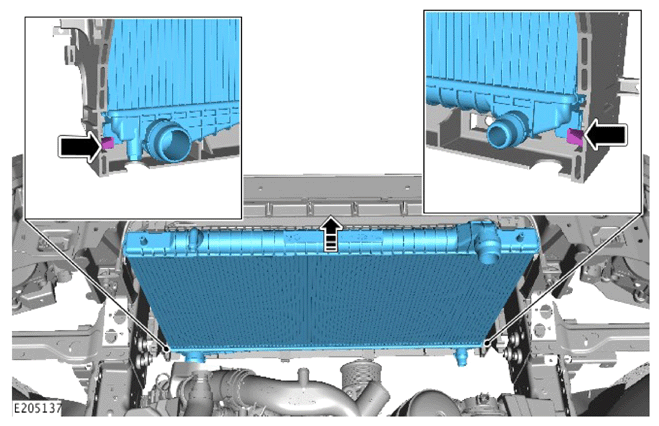 G14286466