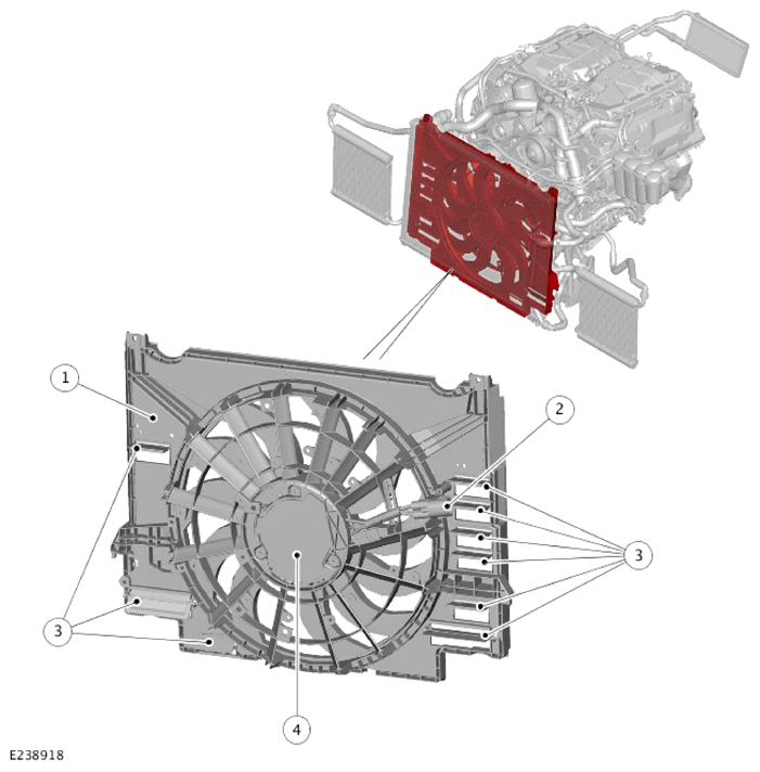 G14286529