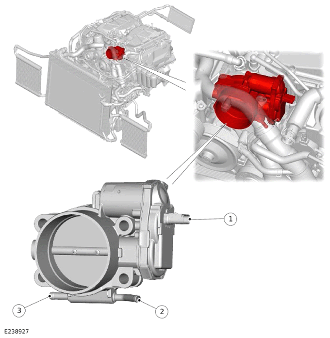 G14286537