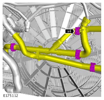 G14286595