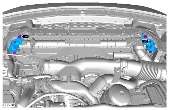 G14286601