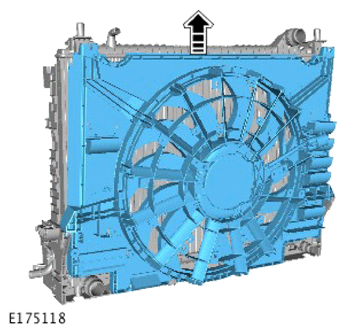 G14286603