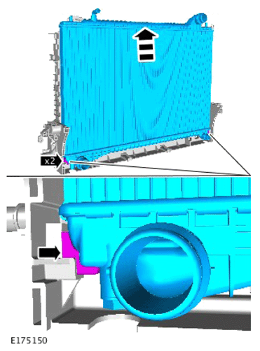 G14286623