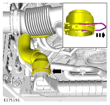 G14286645