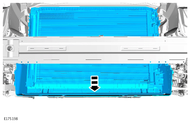 G14286654