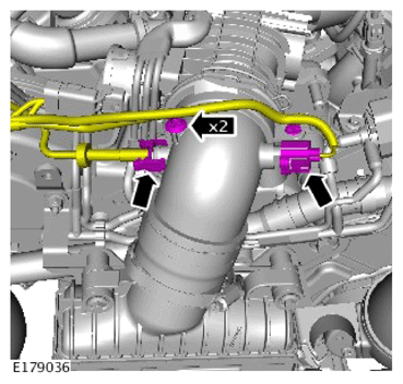 G14287319