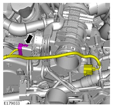 G14287321