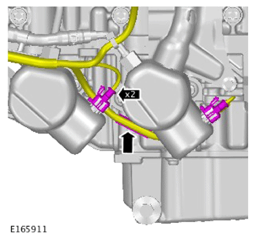G14287388