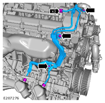 G14287392