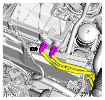 G14287436