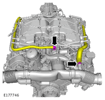 G14287524