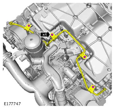 G14287525