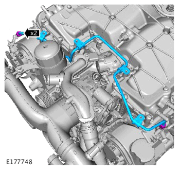 G14287526