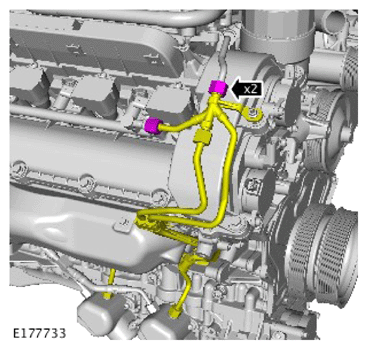 G14287535