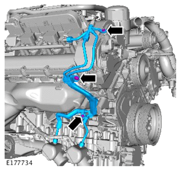 G14287536