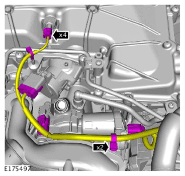 G14287544