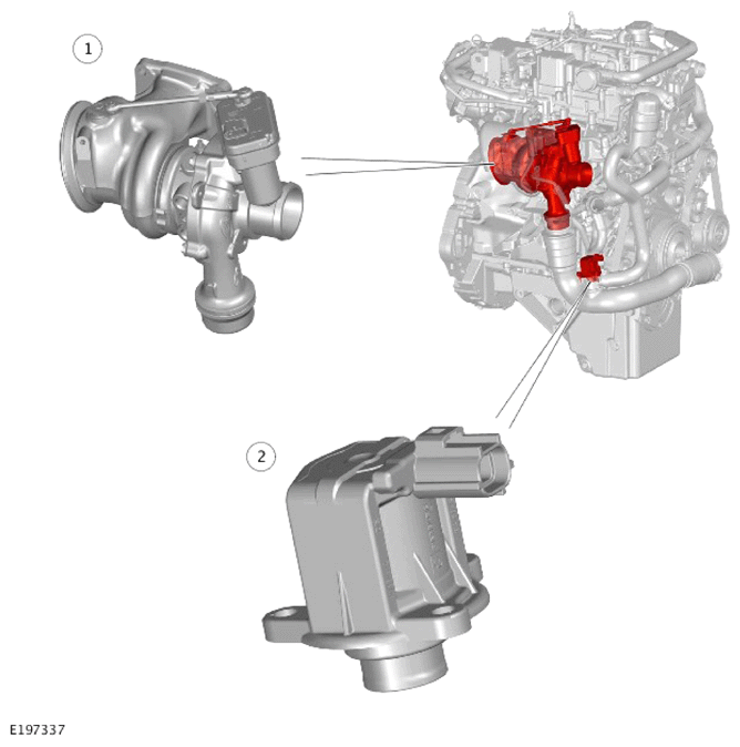 G14287686