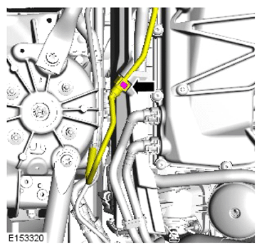 G14287856