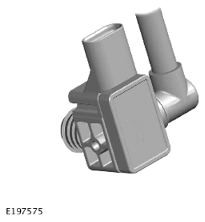 G14288353
