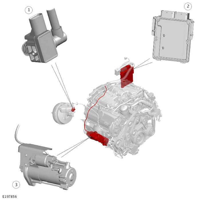 G14288382