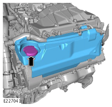 G14288544
