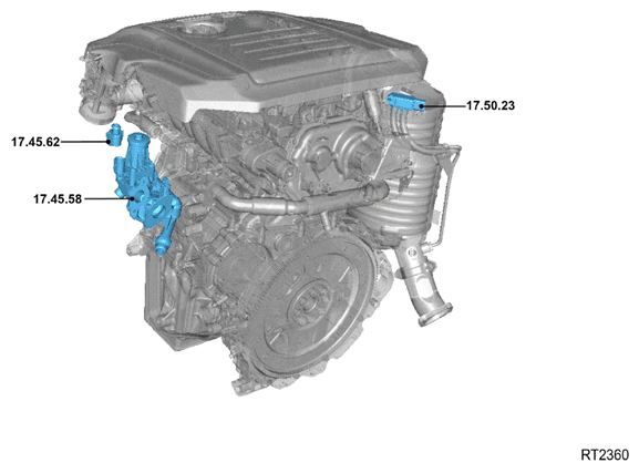 G14288654