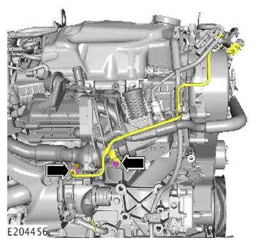G14288849