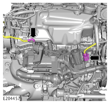 G14288850